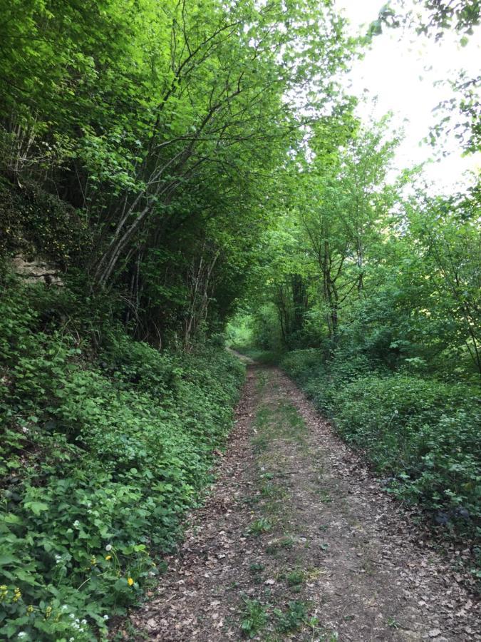 Gite Des Reculees Ladoye-sur-Seille Exteriér fotografie